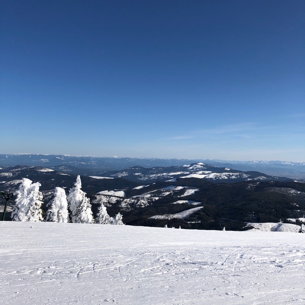 Meet your Posher, Lacee